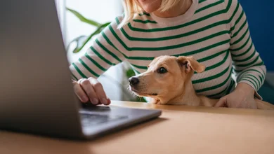 Eine Frau sitzt mit ihrem Hund auf dem Schoss vor dem Laptop