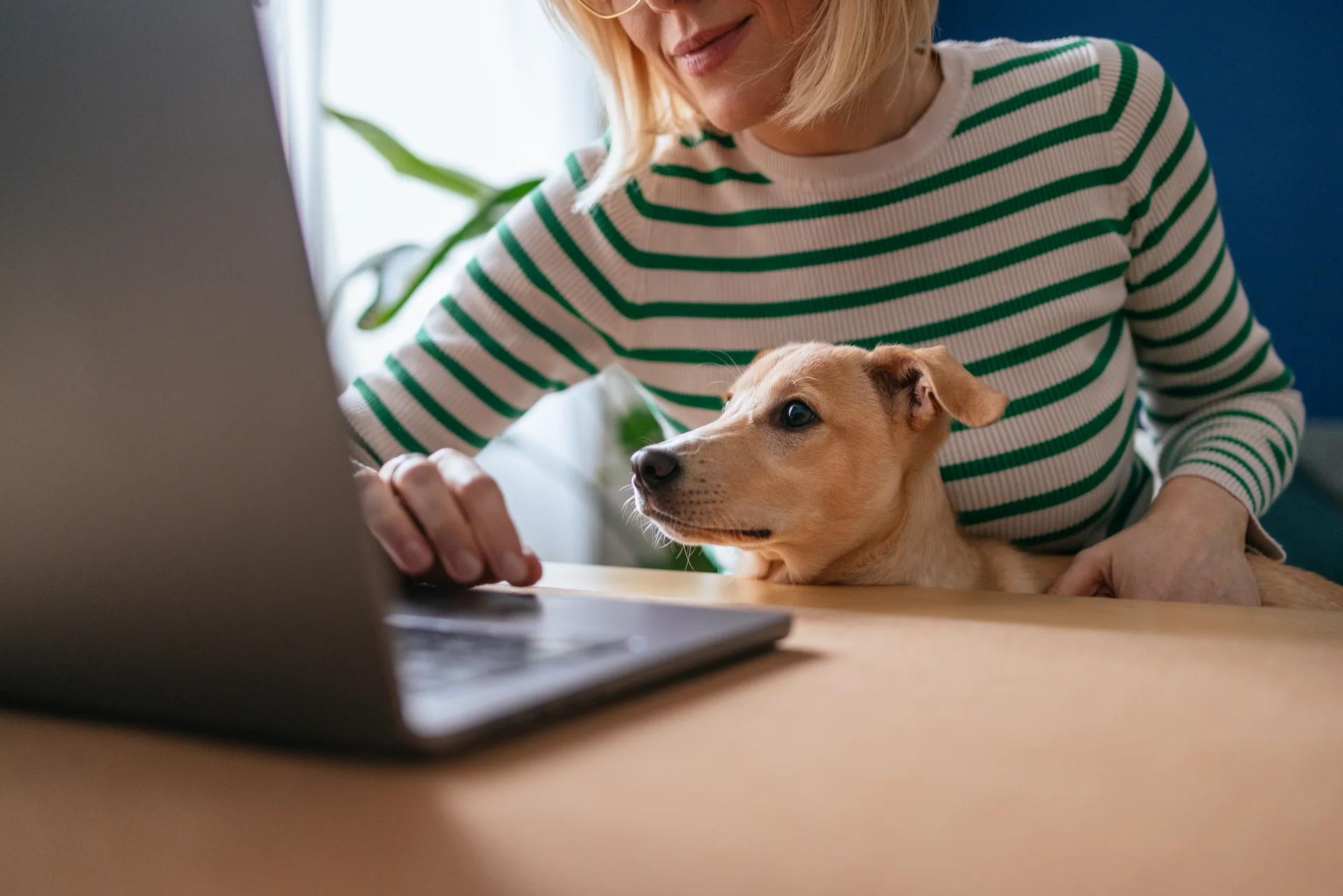 Eine Frau sitzt mit ihrem Hund auf dem Schoß vor dem Laptop